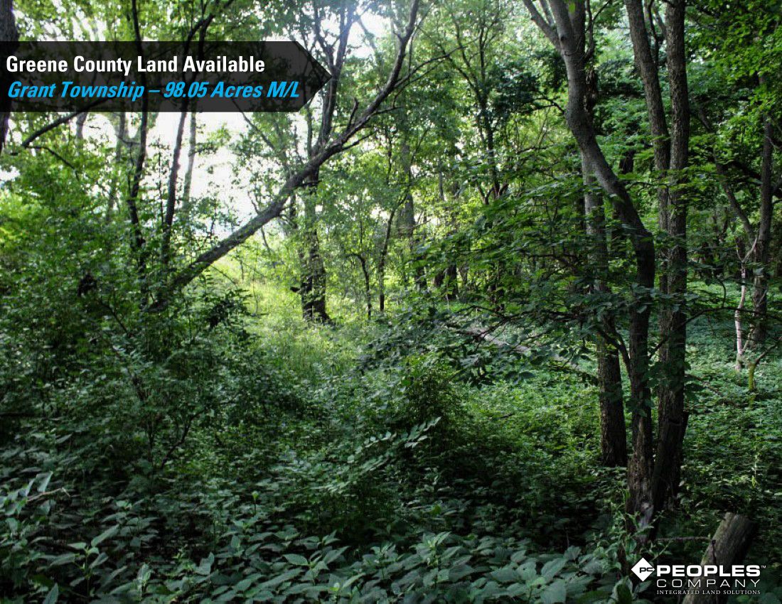 Listing Photo: Greene-County-Iowa-Recreational-Land-Available-98-Acres-19559 (28)